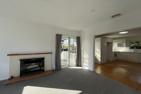 Photo of property in 34 Levesque Street, Birkdale, Auckland, 0626