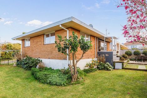 Photo of property in 80b Ridge Street, Otumoetai, Tauranga, 3110