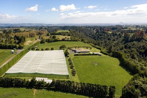 Photo of property in 456 Glue Pot Road, Oropi, Tauranga, 3173