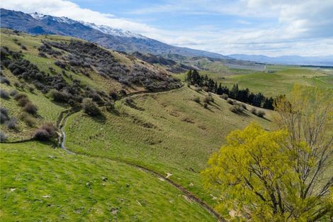 Photo of property in 204 Heaney Road, Cromwell, 9384