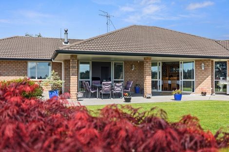 Photo of property in 233 Waipapa Block Road, Whakamarama, Tauranga, 3180