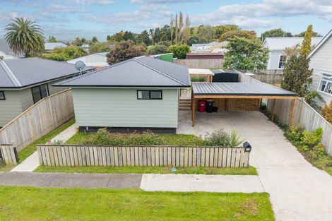 Photo of property in 17 Hall Street, Woodville, 4920