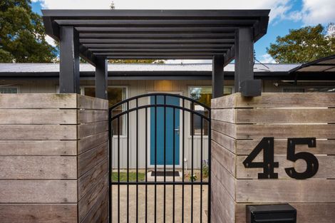 Photo of property in 45 Hereford Street, West End, Palmerston North, 4410