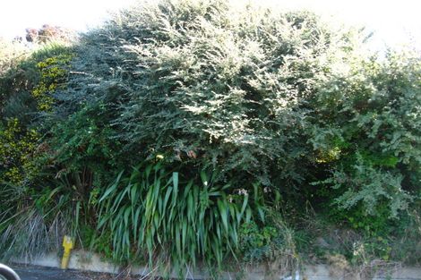 Photo of property in 21 Prospect Bank, Wakari, Dunedin, 9010