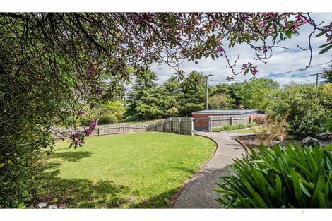 Photo of property in 29 Essex Street, Marchwiel, Timaru, 7910