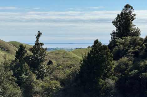 Photo of property in 1158 Manawahe Road, Matata, Whakatane, 3194