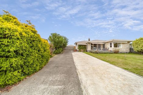 Photo of property in 14 Hitchings Avenue, Onekawa, Napier, 4110