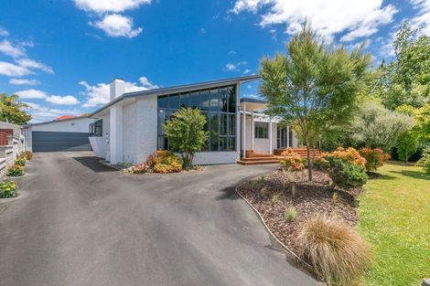 Photo of property in 34 Berkley Avenue, Hillcrest, Hamilton, 3216