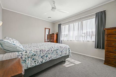 Photo of property in 19 Dallinger Street, St Andrews, Hamilton, 3200