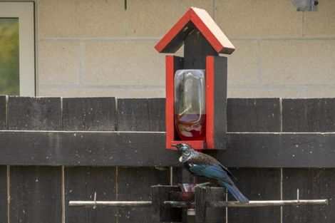 Photo of property in 15 Hansard Place, Bethlehem, Tauranga, 3110