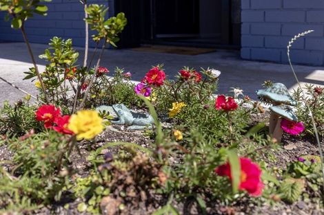 Photo of property in 2 Kanawa Street, Waikanae, 5036