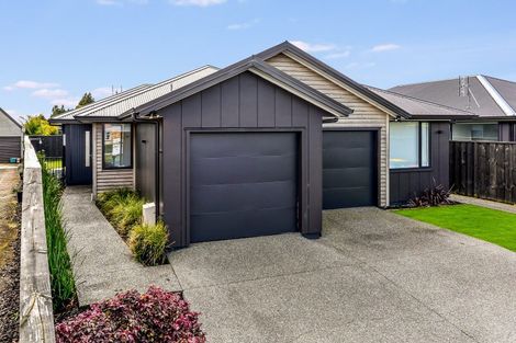 Photo of property in 2/14 Mitcham Avenue, Forest Lake, Hamilton, 3200