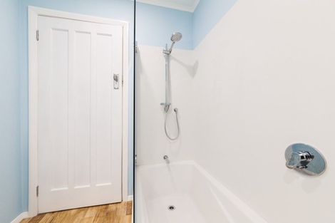 Photo of property in 51 Knowles Street, Terrace End, Palmerston North, 4410