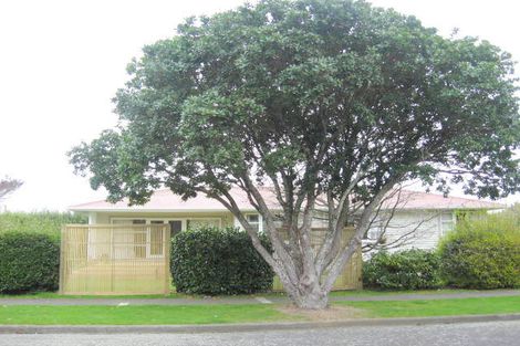 Photo of property in 29 Kings Drive, Levin, 5510