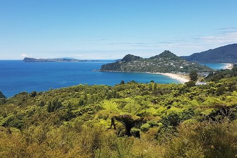 Photo of property in 135 Pumpkin Hill Road, Pumpkin Hill, Whitianga, 3591