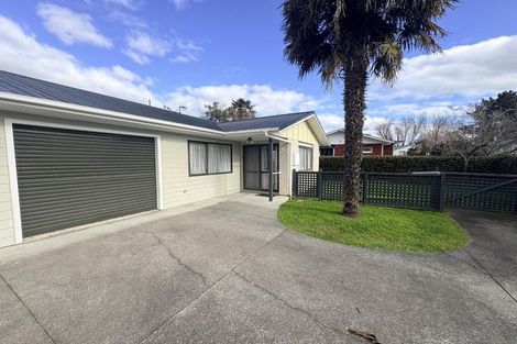 Photo of property in 19b Te Aute Road, Havelock North, 4130