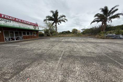 Photo of property in 113-115 Fred Taylor Drive, Whenuapai, Auckland, 0814