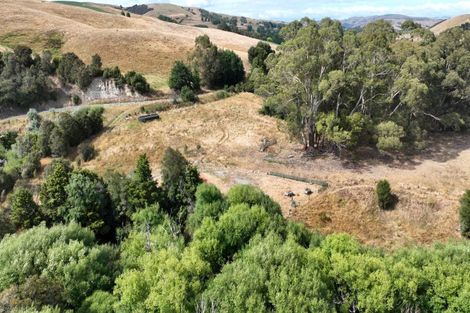 Photo of property in 599c Longbush Road, Hinakura, Masterton, 5884