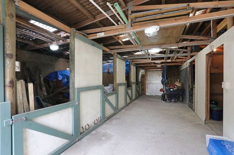 Photo of property in 199 Tutaenui Road, Marton, 4788