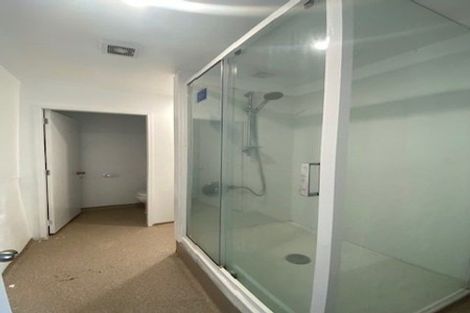 Photo of property in 17 Lawrence Street, Newtown, Wellington, 6021