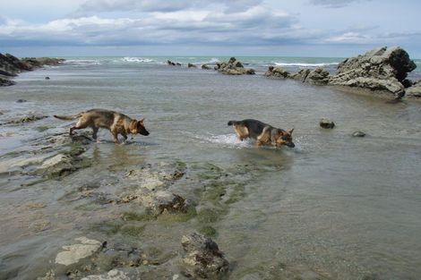 Photo of property in 2 Moore Avenue, Maraenui, Napier, 4110