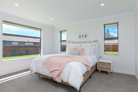 Photo of property in 19 Maeburn Street, Witherlea, Blenheim, 7201