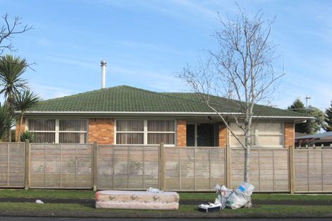 Photo of property in 133 Elliot Street, Pahurehure, Papakura, 2113