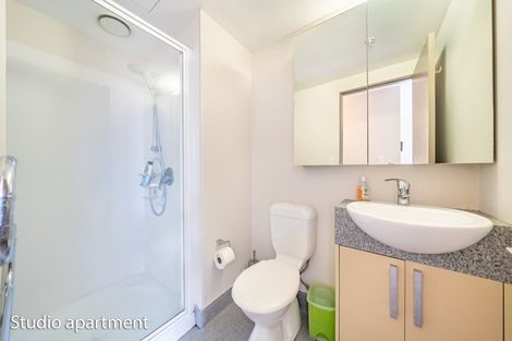 Photo of property in Dual Apartments, 108/142 Vivian Street, Te Aro, Wellington, 6011
