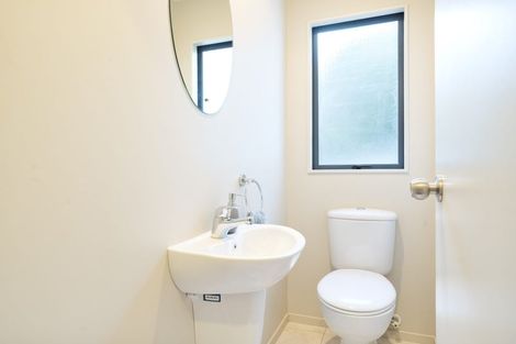 Photo of property in 17 Virginia Street, Henderson, Auckland, 0612