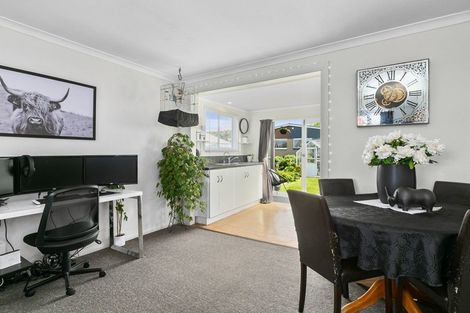 Photo of property in 30 Bathgate Street, South Dunedin, Dunedin, 9012