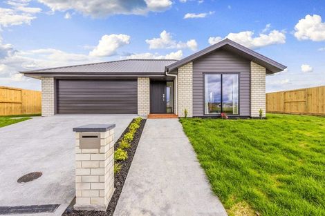 Photo of property in 39 Buxton Crescent, Matamata, 3400