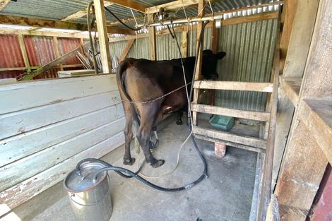 Photo of property in 490 River Road, Kumeroa, Woodville, 4997