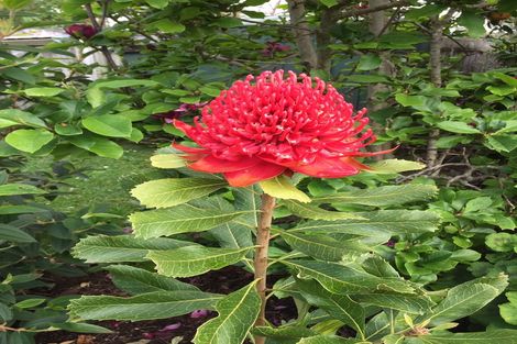 Photo of property in 18 Halyard Loop, Haruru, 0204