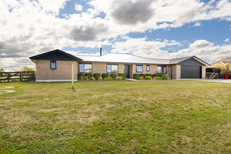 Photo of property in 14 Fallow Avenue, Feilding, 4775