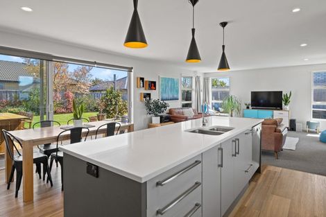 Photo of property in 27 Pegasus Main Street, Pegasus, 7612