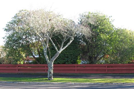 Photo of property in 21 Beech Crescent, Hillcrest, Hamilton, 3216