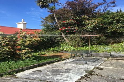 Photo of property in 36 Littlebourne Road, Roslyn, Dunedin, 9010