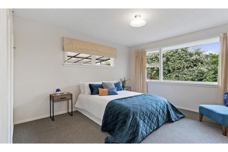 Photo of property in 113 Effingham Street, North New Brighton, Christchurch, 8083