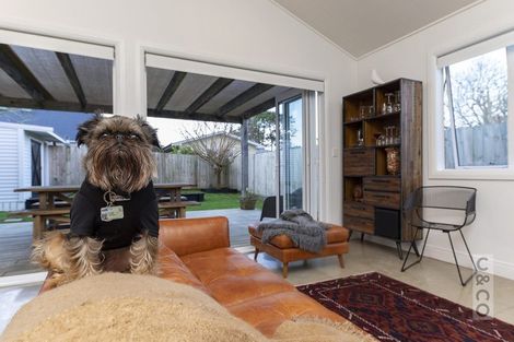 Photo of property in 37 Kaipara Portage Road, Riverhead, 0820