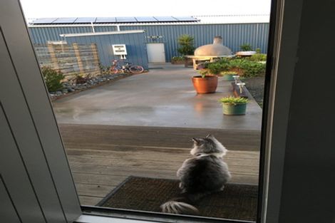 Photo of property in 5 Ronas Place, Kaingaroa, Kaitaia, 0483