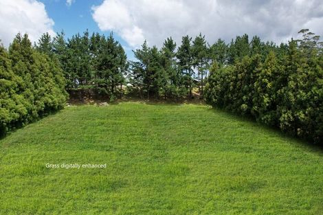 Photo of property in 331 Rea Road, Tahawai, Katikati, 3178