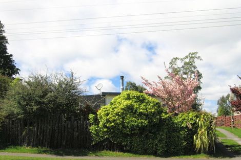 Photo of property in 118 Elizabeth Street, Tauhara, Taupo, 3330