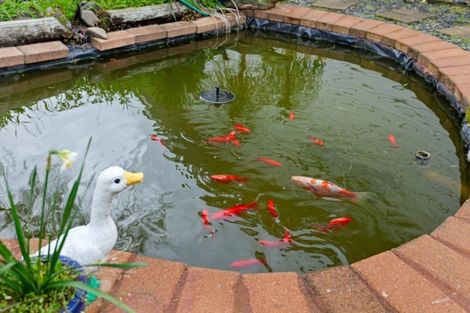 Photo of property in 37 Puriri Crescent, Edgecumbe, 3120