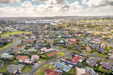 Photo of property in 1 Tullis Place, Burswood, Auckland, 2013