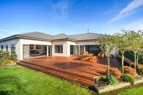 Photo of property in 544c Taonui Road, Colyton, Feilding, 4775