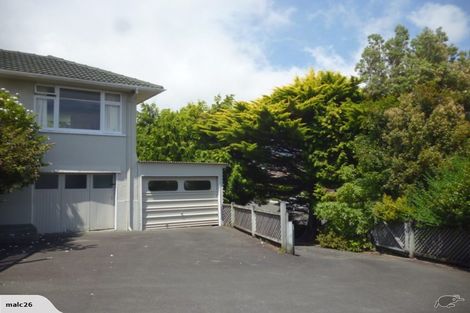 Photo of property in 24 Blair Terrace, Richmond, 7020