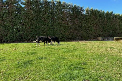 Photo of property in 50 Tetley Road, Tahawai, Katikati, 3178