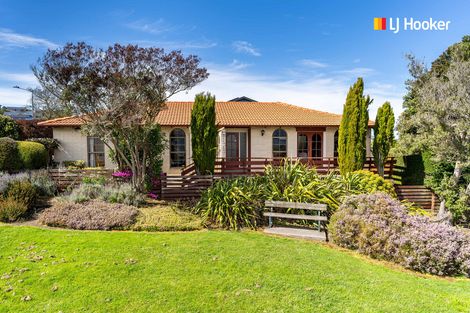Photo of property in 240 Larnach Road, Waverley, Dunedin, 9013