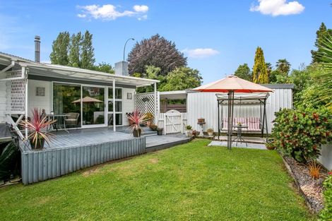 Photo of property in 118 Tirau Street, Putaruru, 3411