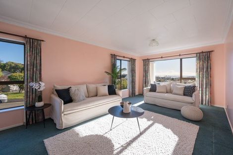 Photo of property in 45 Churchill Avenue, Richmond, 7020